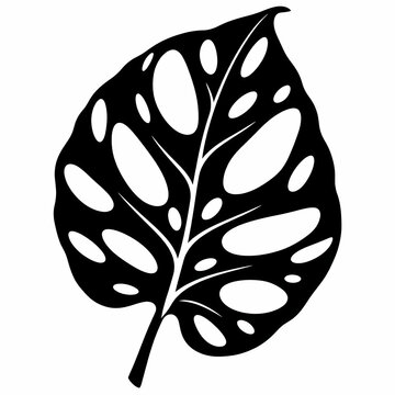 Adansonii Leaf 2D Vector Stencil Silhouette Isolated on White Background