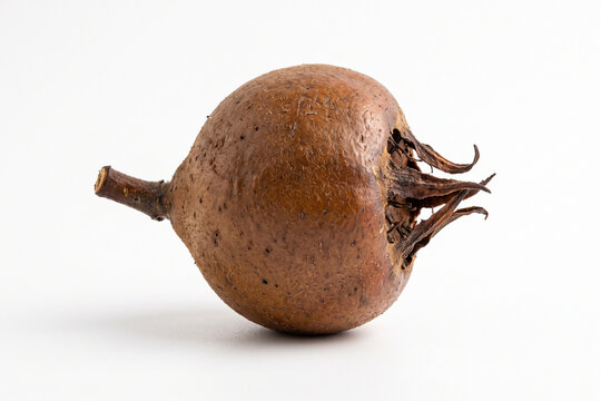 Fresh sapodilla fruit isolated on white background for exotic tropical nutrition healthy diet and specialty grocery marketing design