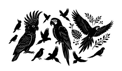 Fototapeta premium Decorative Cockatoo and Parrot Silhouette Vector Collection