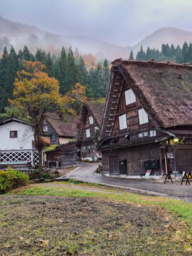 View of traditional gassho-zukuri farmhouses with thatched roofs in the historic village of Shirakawa-go, surrounded by misty mountains and autumn foliage in Shirakawa, Gifu, Japan.