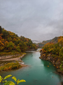 View of the turquoise river flowing through the colorful autumn landscape in Shirakawa, Gifu, Japan.