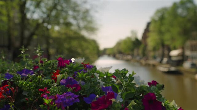 Colorful Flowers at Eye Level in Canal Scene with Wooden Boats and Urban Buildings