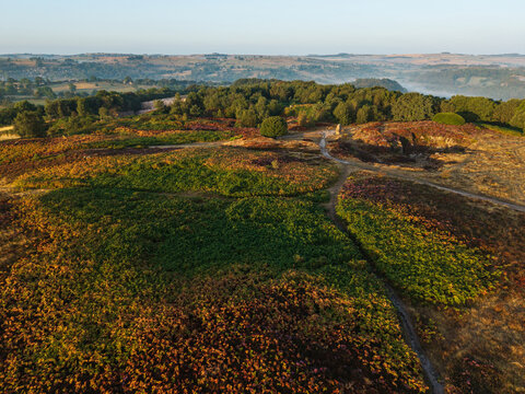 Beautiful drone landscape image over Stanton Moor in Summer Heather sunrise