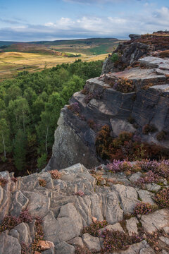 Stunning Peak District landscape from Surprise View with vibrant heather and dappled sunlight over the hills