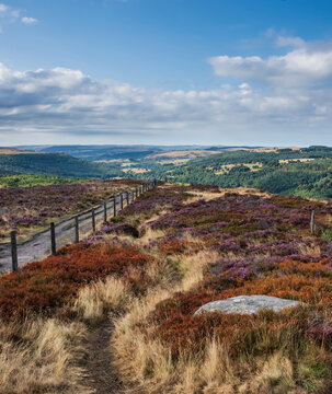 Stunning Peak District landscape from Surprise View with vibrant heather and dappled sunlight over the hills