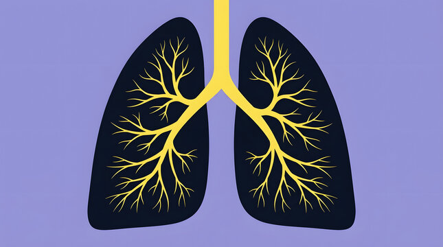 Detailed illustration of human lungs with bronchial tree and pulmonary system