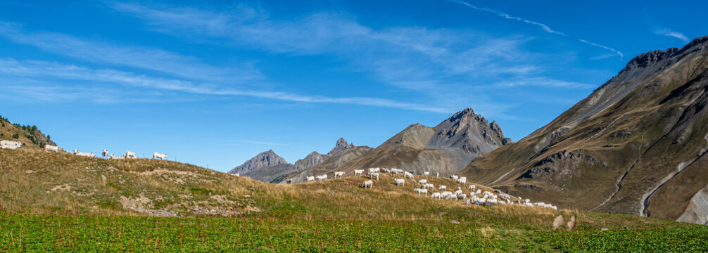 Al Colle della Maddalena (o Col de Larche), al confine tra Italia e Francia a duemila metri di altitudine, ai piedi del Monte Oronaye