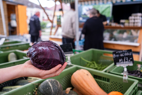 Frischer Rotkohl auf dem Markt