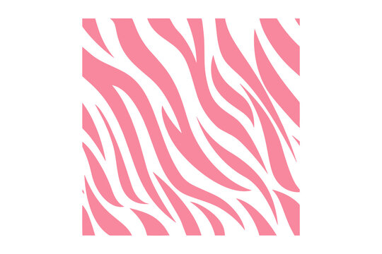 Zebra pattern vector background isolated on transparent background