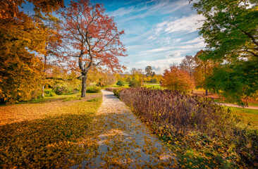 Obraz premium Trees covered with orange and crimson leaves. Splendid morning view of Kastelypark, Royal Palace of Godollo park. Nice autumn scene Hungary botanical garden. Beauty of nature concept background.