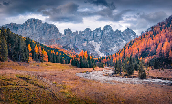 Adorable autumn view of Venegia valley, high altitude Dolomite valley natural park with jagged peaks, rolling meadows, pastures and streams. 