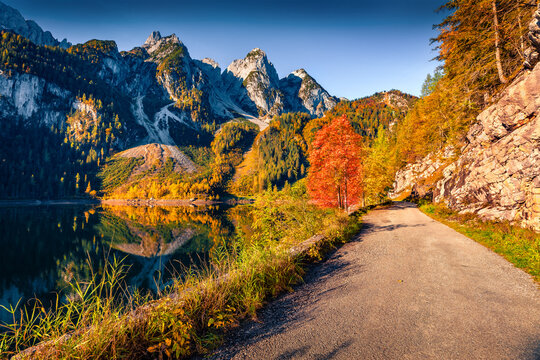 Colorful autumn view of Vorderer(Gosausee) lake. Sunny morning scene of Austrian Alps, Upper Austria, Europe. Beauty of nature concept background.