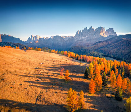 Colorful autumn view of Fuchiade valley. Sunny evening scene of Dolomite Alps, Italy, Europe. View from flying drone of red larch trees woodland. Beauty of nature concept background.