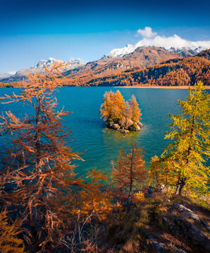 Vertical autumn picture of Sils Lake (Silsersee). Incredible morning scene of Swiss Alps, Maloja Region, Upper Engadine, Switzerpand, Europe. Beauty of nature concept background.