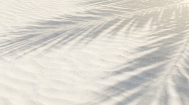 Palm leaf shadow cast on white sand beach background for tropical summer vacation marketing design