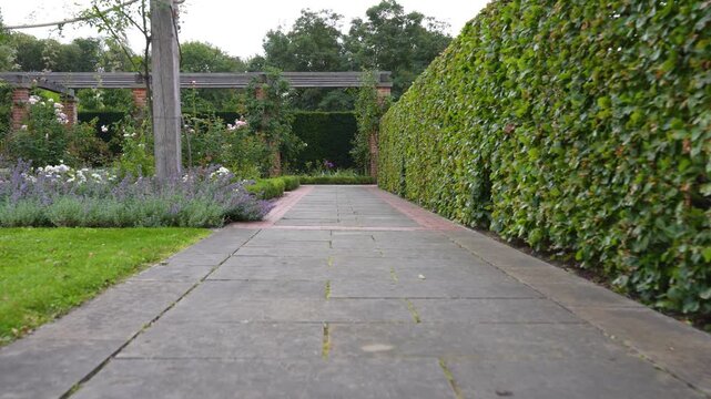 A stone paved path runs between tall clipped hedges under a wooden pergola, opening onto flower beds in a formal rose garden.