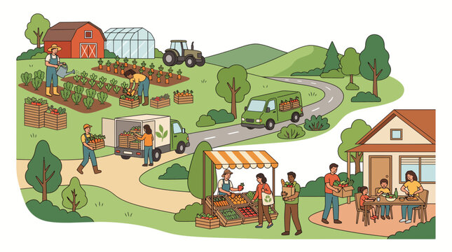 Illustration of local farm production and organic food market distribution process.