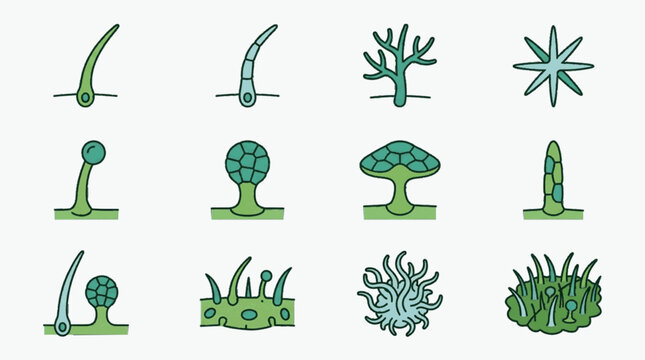 Microscopic diagrams of various plant trichome types including glandular, nonglandular, stellate, and peltate structures on epidermis surface, botanical scientific vector icons.