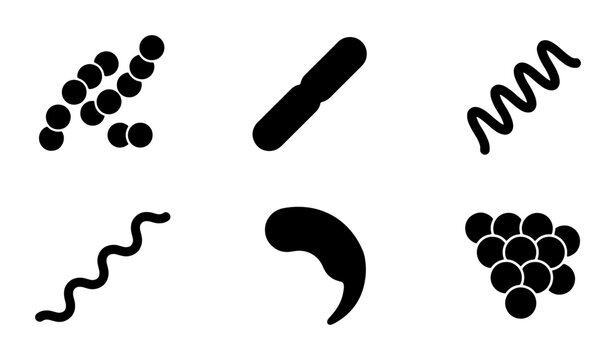 Diverse microscopic bacteria shapes and forms silhouettes