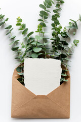 Brown envelope with eucalyptus leaves and blank paper on white background. © Rawpixel.com