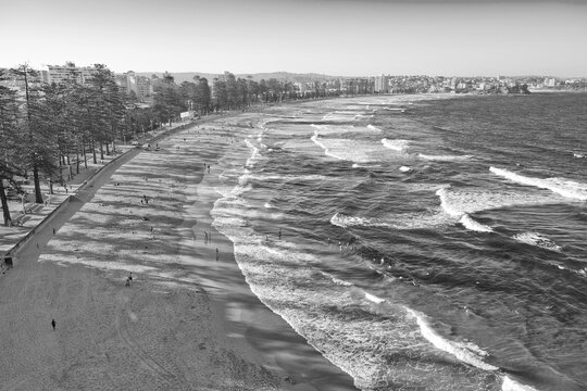 Manly Beach South Steyne Sydney Australia grayscale