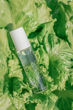 Natural oil-based perfume or serum in a roll-on bottle on lettuce leaves. Concept of organic cosmetics, clean ingredients, and aromatherapy