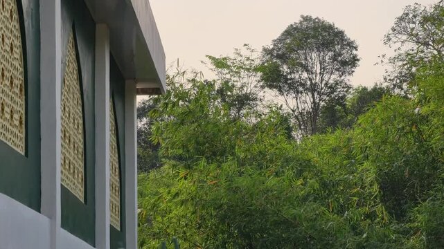 Exterior view of a green and white building with visible Islamic-inspired ornamentation, while bamboo plants sway gently beside the wall in an outdoor architectural setting.