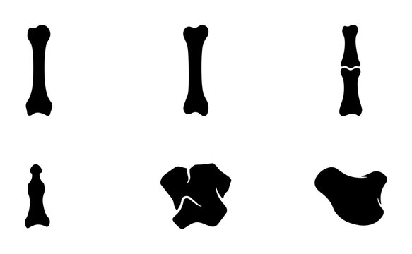 Black bone silhouettes, human anatomy icons, medical graphic design