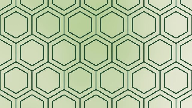 Japanese Hexagon Pattern Kikkou Deep Green Background Seamless Loop Horizontal 4K
