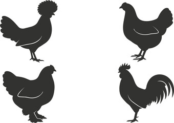 Fototapeta premium Chicken silhouettes vector illustrations set featuring farm birds including rooster hen and crested breed standing profile shapes isolated on a white background.