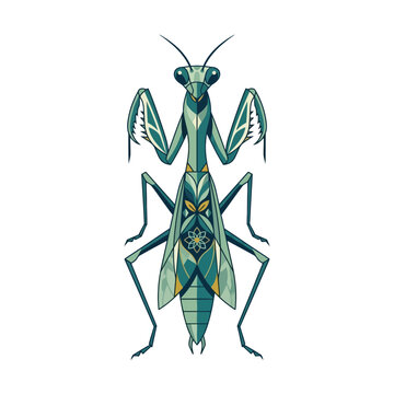 Illustrated Mantis Praying Insect Artwork.