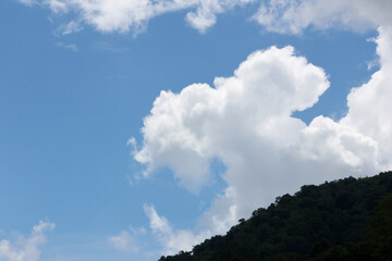 Obraz premium Blue sky and white cloud above dark green forested hillside create peaceful outdoor landscape with open space and natural atmosphere