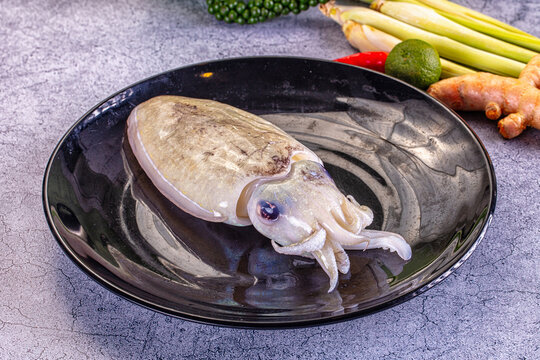 Fresh cuttlefish on glossy black plate with lemongrass lime ginger and chili background, seafood ingredient for asian cuisine