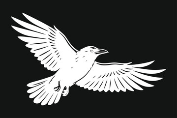 Obraz premium White Raven Flying with Spread Wings Vector Illustration on Black Background