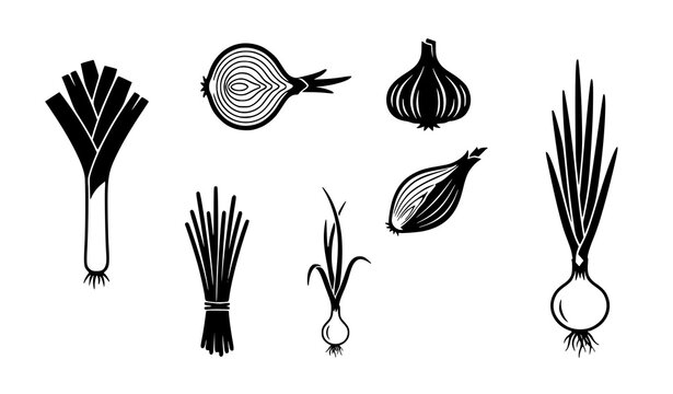Set of black and white onion vegetable icons including leeks shallots and spring onions isolated on white background
