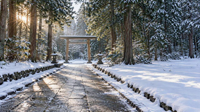 朝日が差す雪の参道と木の鳥居