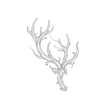 Minimalist white deer antlers outline graphic featuring ornate filigree line art set against black background