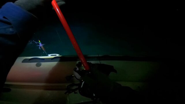 Night squid fishing POV reeling in a squid on squid jig lure from zodiac boat, eging technique