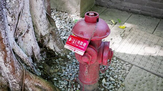 Red fire hydrant beside tree trunk on pavement