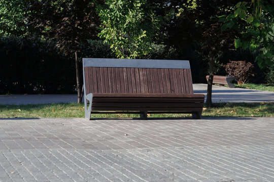 Empty modern wooden bench standing on paved walkway in green city park surrounded by lush green trees in bright natural sunlight