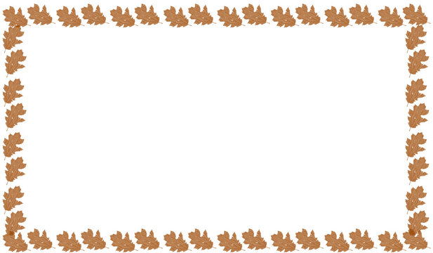 White Oak Leaf Frame Template Clean Autumn Border Graphic Background