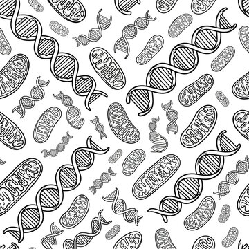 DNA Double Helix and Mitochondria Seamless Pattern, Science Hand Drawn Sketch