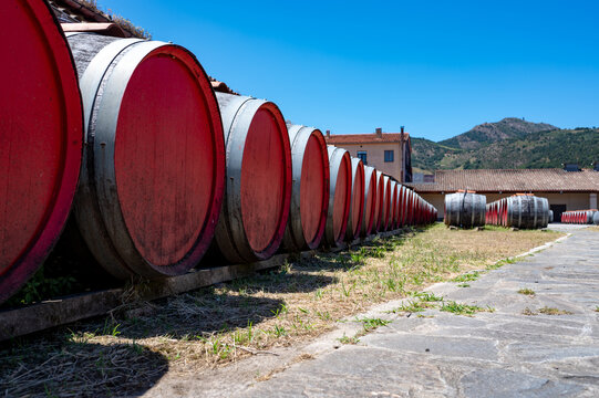 WInery visit, wine sun aging in oak casks and barriques after fermentation and long maturation, AOP Banyuls-sur-Mer, Collioure, Red and Vin Doux Naturel, Roussillon, France
