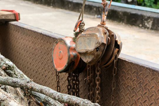 Rusty chain hoist and metal platform beside rough tree branch showing aged industrial equipment outdoors