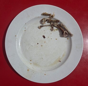 leftover chicken bones from the meal