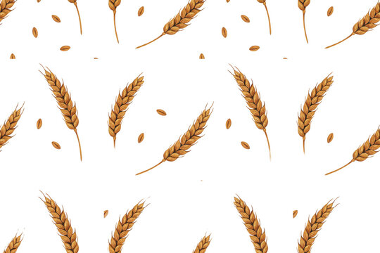 Seamless pattern featuring golden wheat ears and scattered grain seeds on a white background, isolated on a, transparent background
