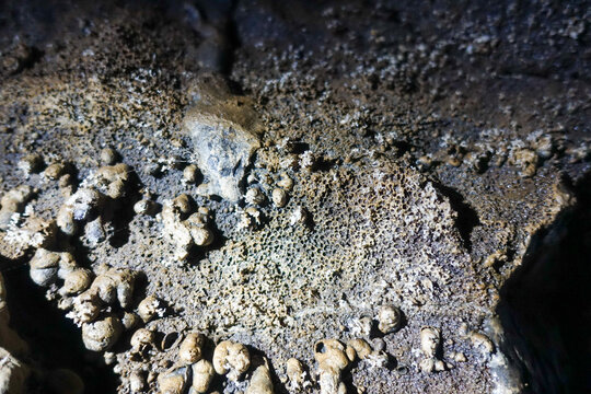 Cluster of knobby cave popcorn and fine white crystal tufts covering a granular mineral surface inside a lava tube
