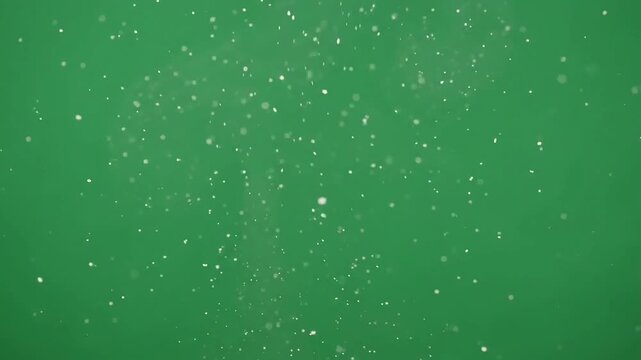 White powder dust exploding and rising on green screen chroma key