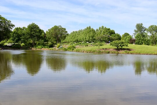 The calm lake in the park on a sunny day.