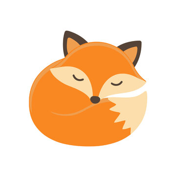 Stylized fox illustration curled up